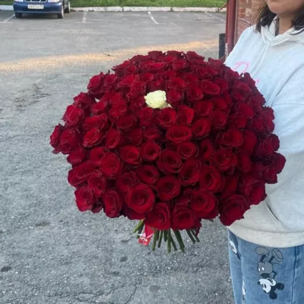 Букет из 100 красной и одной белой розы