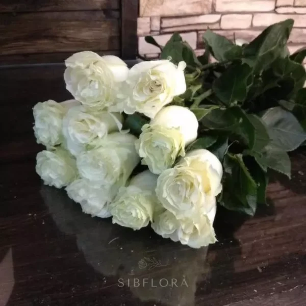 Букет из 13 белых роз