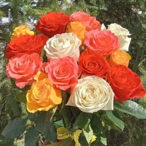 Букет из 15 разноцветных роз