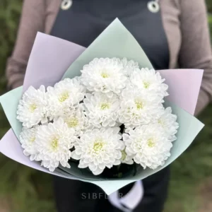 Букет из 3 белых хризантем