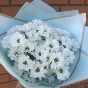 Букет из 5 белых хризантем