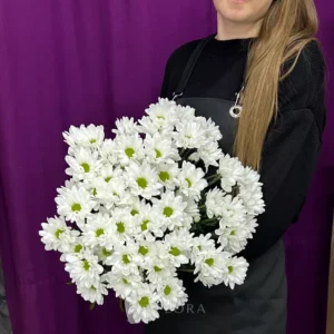 Букет из 9 белых хризантем