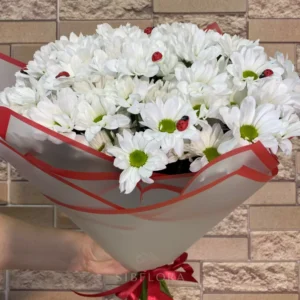 Букет из 9 кустовых хризантем