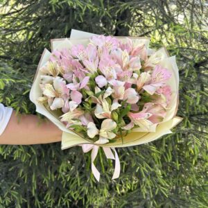 Букет из 11 альстромерий №363