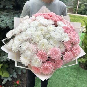 Букет из 15 хризантем №364