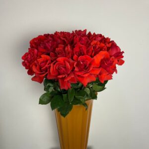 Букет из 23 французских роз №393