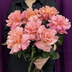Букет из 7 французских роз №410