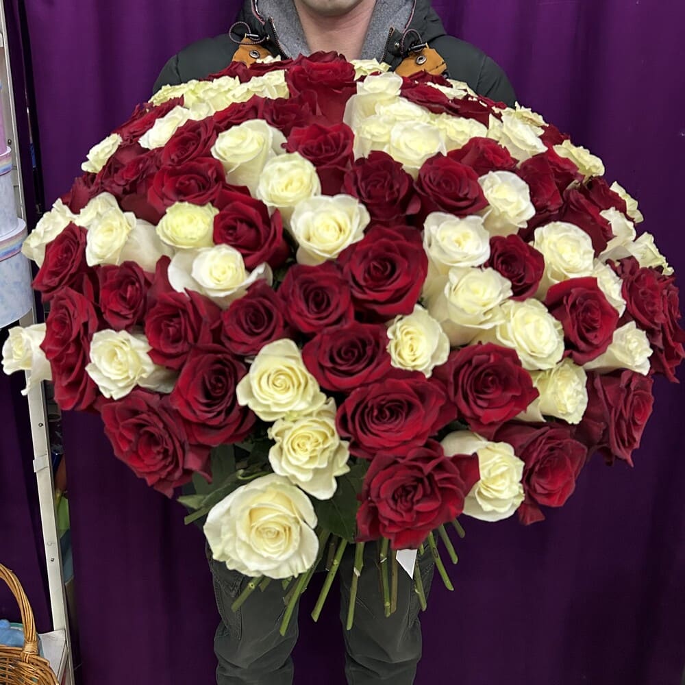 Букет из 101 красной и белой розы №445 Букет из 101 красной и белой розы №445