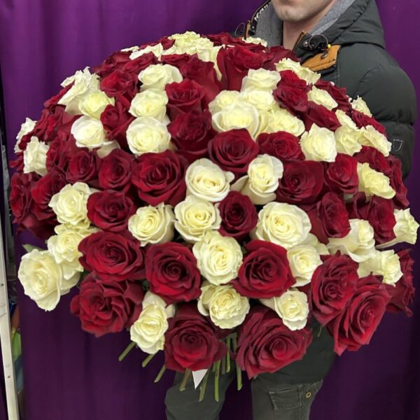 Букет из 101 красной и белой розы №445