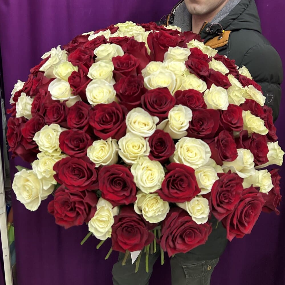 Букет из 101 красной и белой розы №445 Букет из 101 красной и белой розы №445