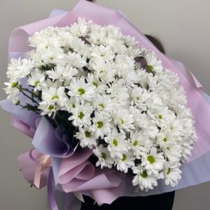 Букет из 13 хризантем №498