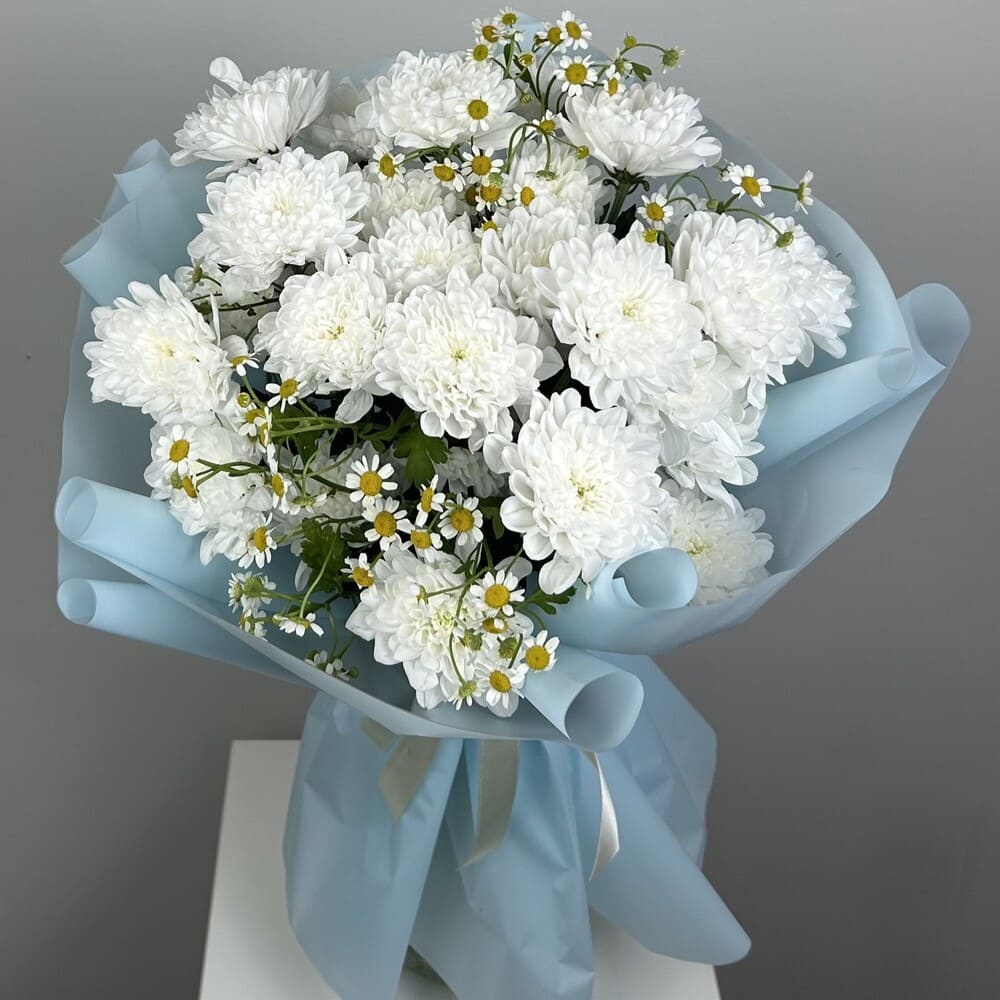 Букет из хризантем и матрикарии №511 buket-iz-hrizantem-i-matrikarii-511