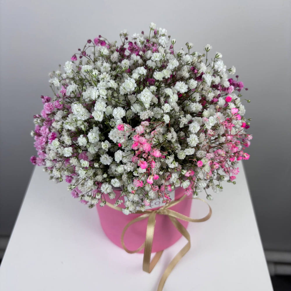 Гипсофила в коробке №539 Гипсофила в коробке №539