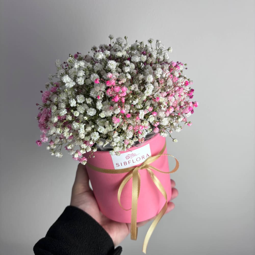 Гипсофила в коробке №539 Гипсофила в коробке №539