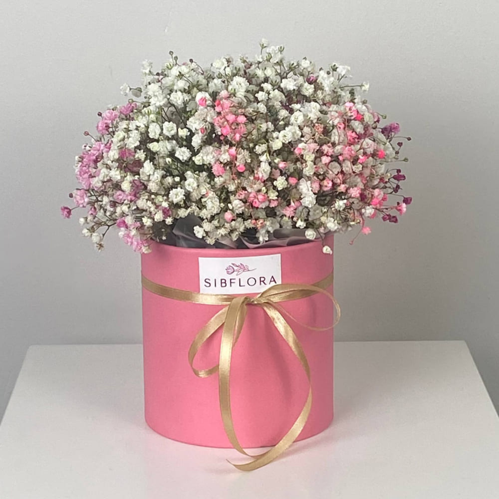 Гипсофила в коробке №539 Гипсофила в коробке №539