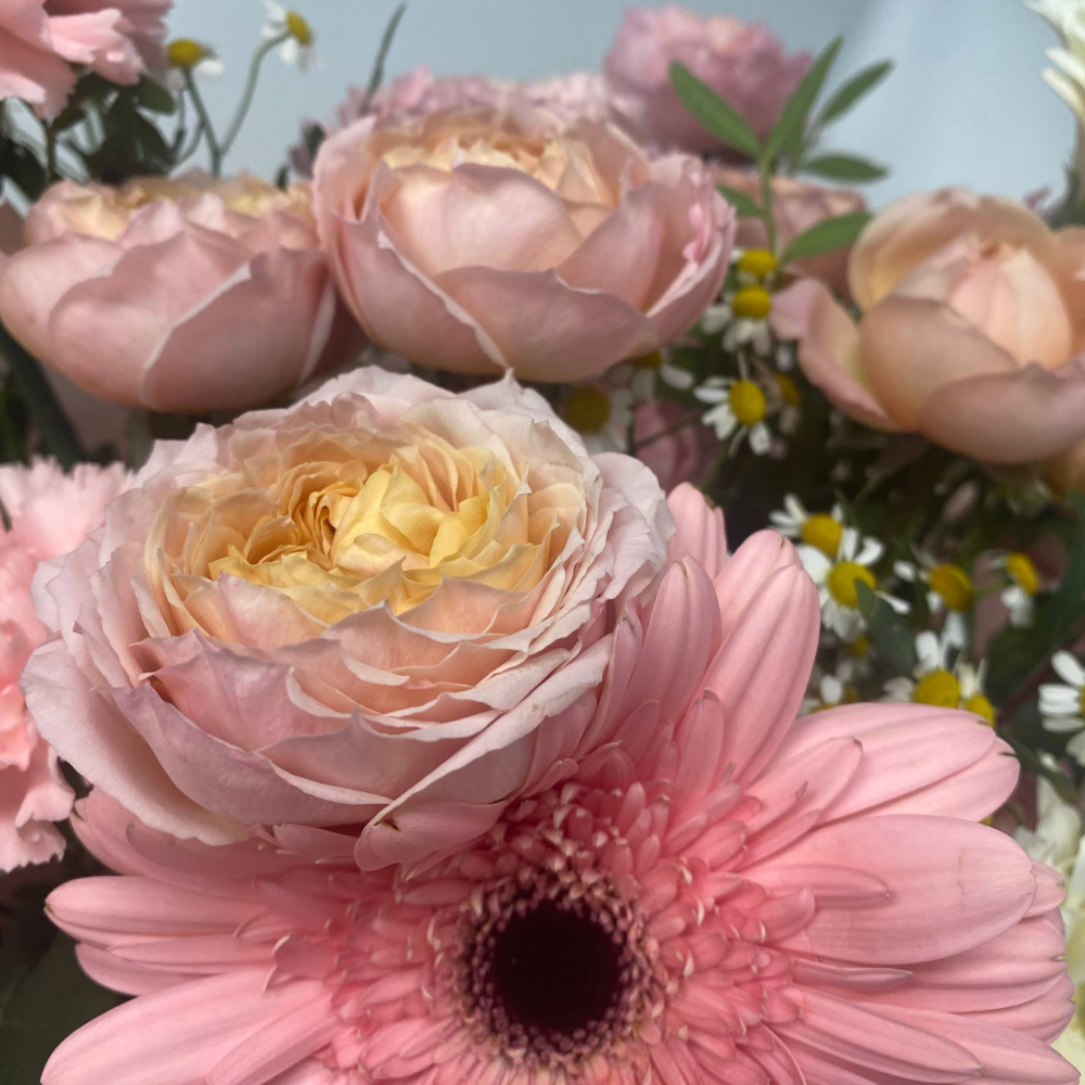 Букет из гербер, кустовой розы и диантуса №540 Букет из гербер, кустовой розы и диантуса №540